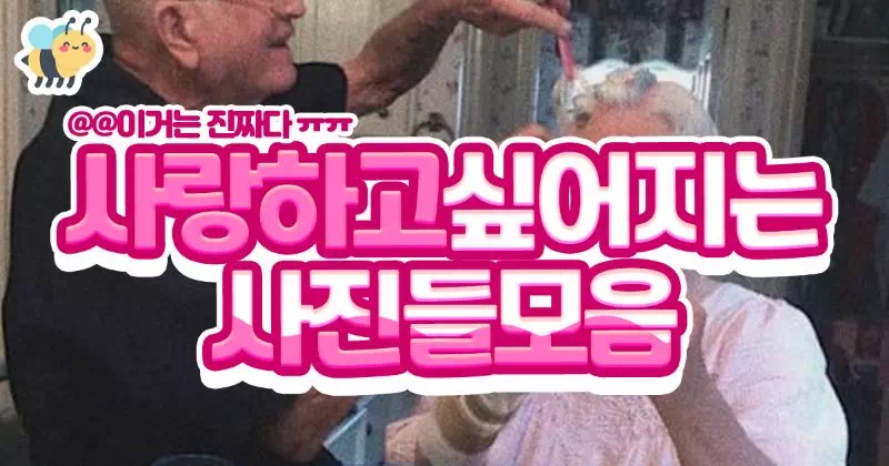 사랑하고싶어지는 사진들모음