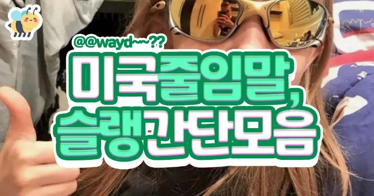 미국줄임말, 슬랭간단모음