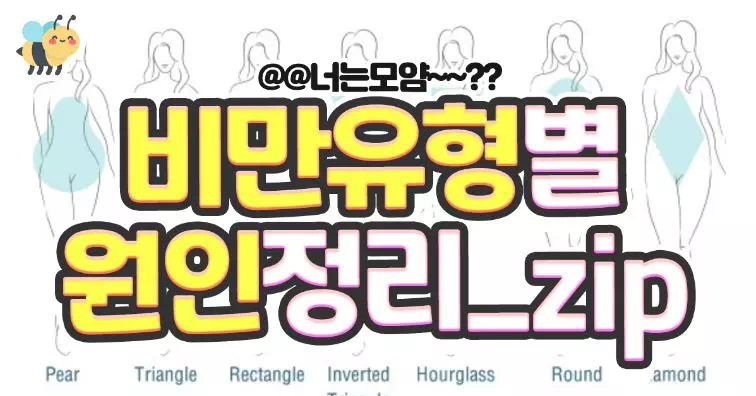 비만유형별 원인정리_ZIP