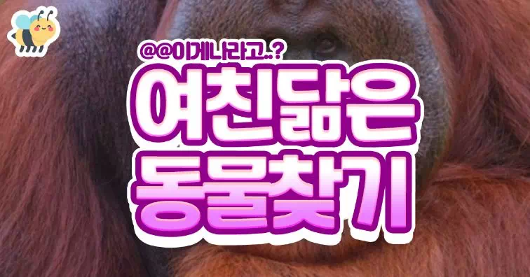 여친닮은 동물찾기