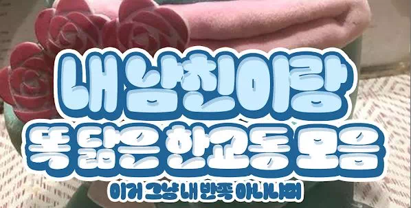 내남친이랑 똑닮은 한교동 모음