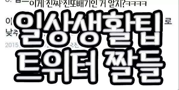 일상생활팁 틔위터짤들