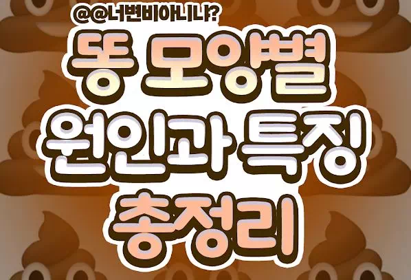 똥 모양별 원인과 특징 총정리