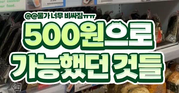 500원으로 가능했던 것들