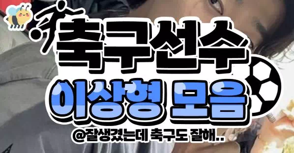 축구선수 이상형 모음