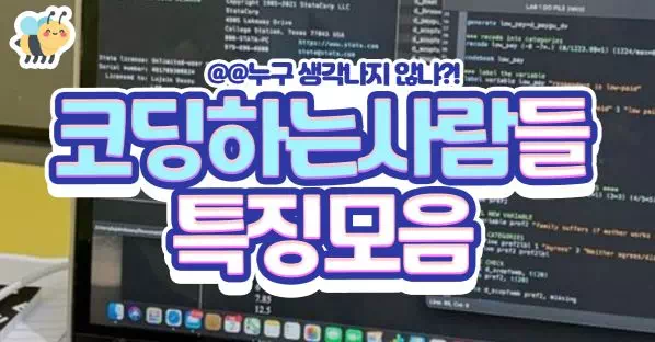 코딩하는사람들 특징모음