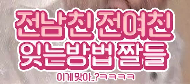 전남친 전여친 잊는방법 짤들